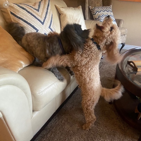 💙🩵❤️Please like this Listing 4 update; show info+ special sales+ deals! Join4fun - Picture 14 of 14